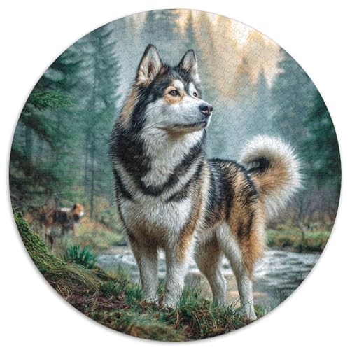 Niedlicher HaustiErhund 1000 Stück Puzzles Circular Puzzle Puzzle-Spiele Wand Dekoration Geschenk (67.5x67.5cm) von XDDBYUIZP