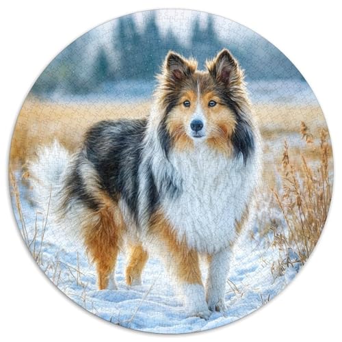 Niedlicher HaustiErhund 1000 Stück Puzzles Circular Puzzle Puzzle-Spiele Wand Dekoration Geschenk (67.5x67.5cm) von XDDBYUIZP