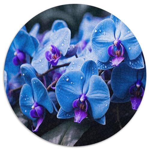 Orchidee 1000 Stück Puzzles VerringerterDruck Circular Puzzles Puzzle-Spiele Wand Dekoration Geschenk (67.5x67.5cm) von XDDBYUIZP