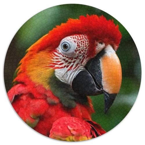 Papagei 1000 PCS Puzzles Stressabbau Spielzeug Für Familienpuzzle Vögel Circular Puzzle Puzzle-Spiele Wand Dekoration Geschenk 1000pcs (67.5x67.5cm) von XDDBYUIZP