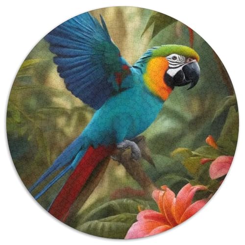 Papagei 1000 Stück Puzzle Für Erwachsene Und Kinder Jahren Vögel Rund Puzzle Puzzle-Spiele Wand Dekoration Geschenk 1000pcs (67.5x67.5cm) von XDDBYUIZP