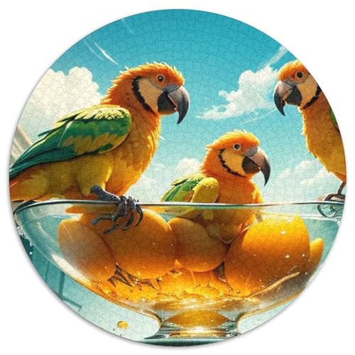 Papagei 1000 Stück Puzzle Stressabbau-Spielzeug Für Erwachsene Kinder Vögel Runden Puzzle Puzzle-Spiele Wand Dekoration Geschenk 1000pcs (67.5x67.5cm) von XDDBYUIZP