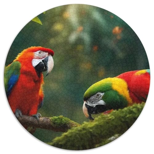 Papagei 1000 Stück Puzzle Stressabbau Spielzeug Für Familienpuzzle Vögel Rund Puzzle Puzzle-Spiele Wand Dekoration Geschenk 1000pcs (67.5x67.5cm) von XDDBYUIZP