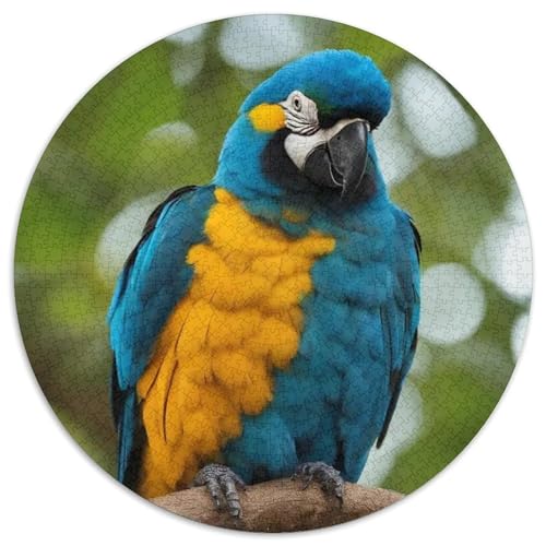 Papagei 1000 Stück Puzzle VerringerterDruck Vögel Circular Puzzles Puzzle-Spiele Wand Dekoration Geschenk 1000pcs (67.5x67.5cm) von XDDBYUIZP