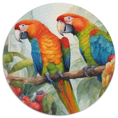 Papagei 1000 Stück Puzzle VerringerterDruck Vögel Circular Puzzles Puzzle-Spiele Wand Dekoration Geschenk 1000pcs (67.5x67.5cm) von XDDBYUIZP