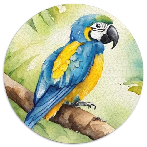 Papagei 1000 Stück Puzzle VerringerterDruck Vögel Circular Puzzles Puzzle-Spiele Wand Dekoration Geschenk 1000pcs (67.5x67.5cm) von XDDBYUIZP