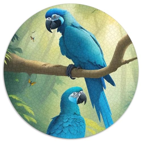 Papagei 1000 Stück Puzzle VerringerterDruck Vögel Rundes Puzzle Puzzle-Spiele Wand Dekoration Geschenk 1000pcs (67.5x67.5cm) von XDDBYUIZP