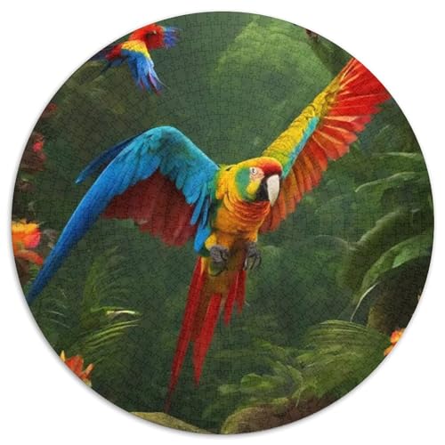 Papagei 1000 Stück Puzzles Für Erwachsene Und Kinder Jahren Vögel Circular Puzzles Puzzle-Spiele Wand Dekoration Geschenk 1000pcs (67.5x67.5cm) von XDDBYUIZP