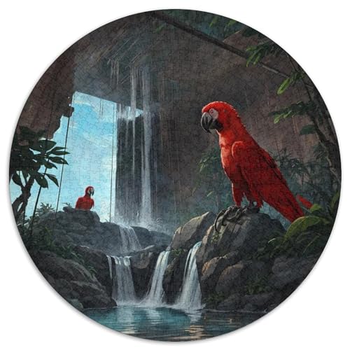Papagei 1000 Stück Puzzles Für Erwachsene Und Kinder Jahren Vögel Circular Puzzles Puzzle-Spiele Wand Dekoration Geschenk 1000pcs (67.5x67.5cm) von XDDBYUIZP