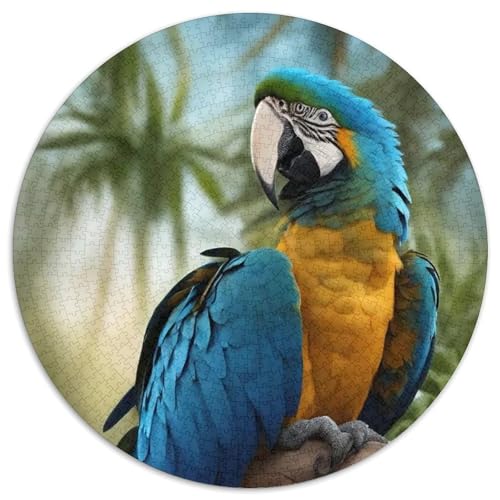 Papagei 1000 Stück Puzzles Für Erwachsene Und Kinder Jahren Vögel Circular Puzzles Puzzle-Spiele Wand Dekoration Geschenk 1000pcs (67.5x67.5cm) von XDDBYUIZP