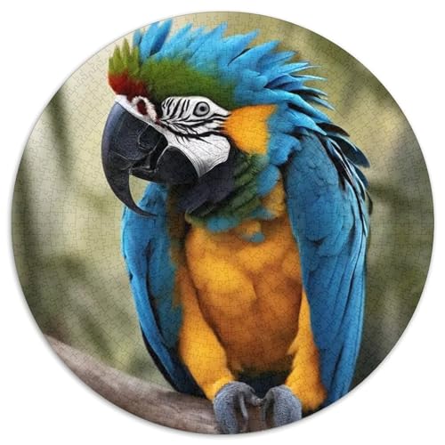 Papagei 1000 Stück Puzzles Für Erwachsene Und Kinder Jahren Vögel Rundes Puzzle Puzzle-Spiele Wand Dekoration Geschenk 1000pcs (67.5x67.5cm) von XDDBYUIZP