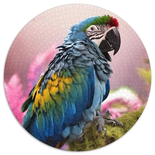 Papagei 1000 Stück Puzzles Stressabbau Spielzeug Für Familienpuzzle Vögel Circular Puzzle Puzzle-Spiele Wand Dekoration Geschenk 1000pcs (67.5x67.5cm) von XDDBYUIZP