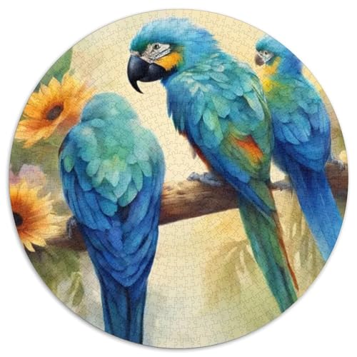 Papagei 1000 Stück Puzzles Stressabbau Spielzeug Für Familienpuzzle Vögel Rund Puzzle Puzzle-Spiele Wand Dekoration Geschenk 1000pcs (67.5x67.5cm) von XDDBYUIZP