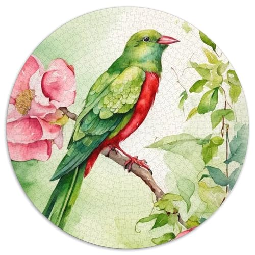 Papagei 1000 Stück Puzzles Stressabbau Spielzeug Für Familienpuzzle Vögel Rund Puzzle Puzzle-Spiele Wand Dekoration Geschenk 1000pcs (67.5x67.5cm) von XDDBYUIZP