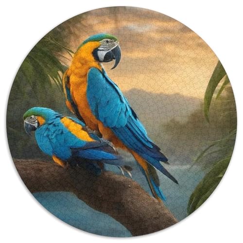 Papagei 1000 Stück Puzzles Stressabbau Spielzeug Für Familienpuzzle Vögel Rund Puzzle Puzzle-Spiele Wand Dekoration Geschenk 1000pcs (67.5x67.5cm) von XDDBYUIZP