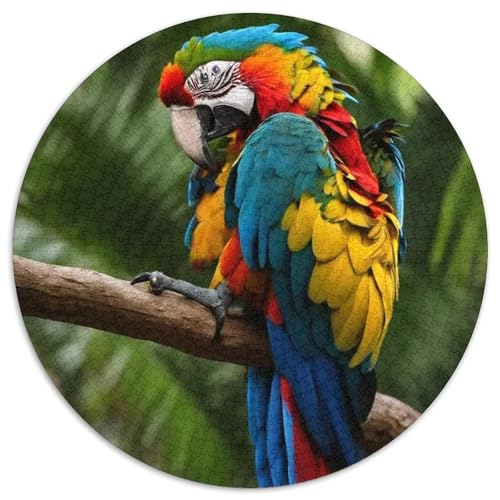 Papagei 1000 Stück Puzzles Stressabbau Spielzeug Für Familienpuzzle Vögel Runden Puzzle Puzzle-Spiele Wand Dekoration Geschenk 1000pcs (67.5x67.5cm) von XDDBYUIZP