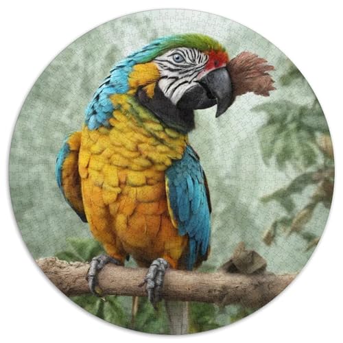 Papagei 1000 Stück Puzzles Stressabbau Spielzeug Für Familienpuzzle Vögel Runden Puzzle Puzzle-Spiele Wand Dekoration Geschenk 1000pcs (67.5x67.5cm) von XDDBYUIZP