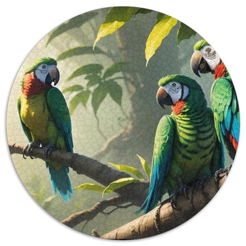 Papagei 1000 Stück Puzzles VerringerterDruck Vögel Circular Puzzle Puzzle-Spiele Wand Dekoration Geschenk 1000pcs (67.5x67.5cm) von XDDBYUIZP
