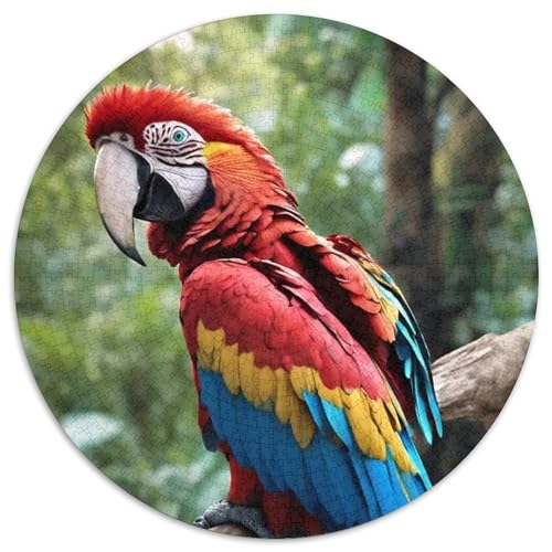 Papagei 1000 Stück Puzzles VerringerterDruck Vögel Circular Puzzle Puzzle-Spiele Wand Dekoration Geschenk 1000pcs (67.5x67.5cm) von XDDBYUIZP