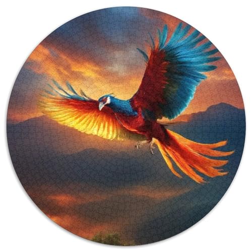 Papagei 1000 Stück Puzzles VerringerterDruck Vögel Circular Puzzle Puzzle-Spiele Wand Dekoration Geschenk 1000pcs (67.5x67.5cm) von XDDBYUIZP