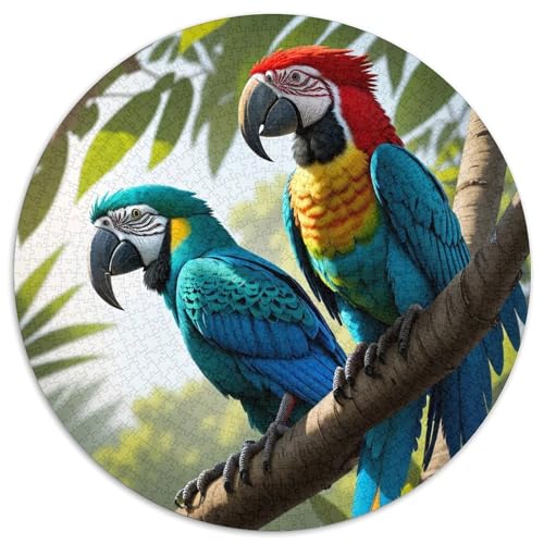 Papagei 1000 Stück Puzzles VerringerterDruck Vögel Circular Puzzles Puzzle-Spiele Wand Dekoration Geschenk 1000pcs (67.5x67.5cm) von XDDBYUIZP