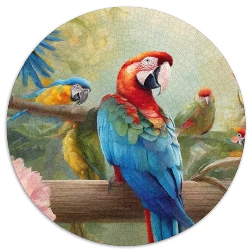 Papagei 1000 Stück Puzzles VerringerterDruck Vögel Circular Puzzles Puzzle-Spiele Wand Dekoration Geschenk 1000pcs (67.5x67.5cm) von XDDBYUIZP