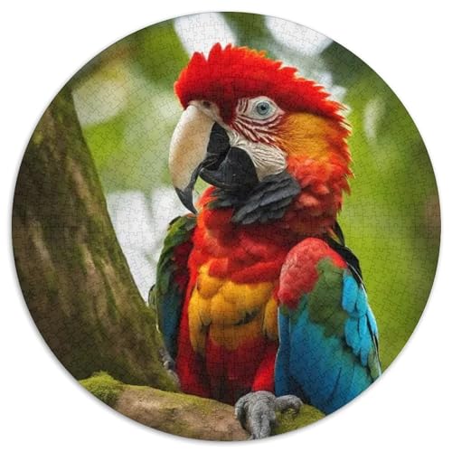 Papagei 1000 Stück Puzzles VerringerterDruck Vögel Rund Puzzle Puzzle-Spiele Wand Dekoration Geschenk 1000pcs (67.5x67.5cm) von XDDBYUIZP
