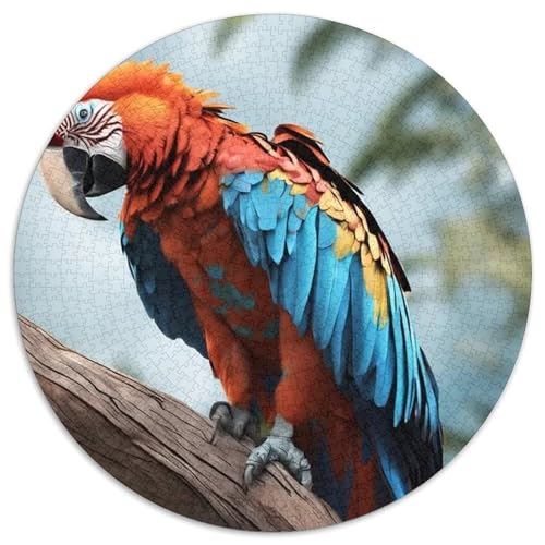 Papagei 1000 Stück Puzzles VerringerterDruck Vögel Runden Puzzle Puzzle-Spiele Wand Dekoration Geschenk 1000pcs (67.5x67.5cm) von XDDBYUIZP