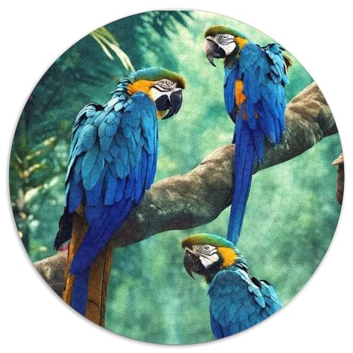 Papagei 1000 Stück Puzzles VerringerterDruck Vögel Runden Puzzle Puzzle-Spiele Wand Dekoration Geschenk 1000pcs (67.5x67.5cm) von XDDBYUIZP