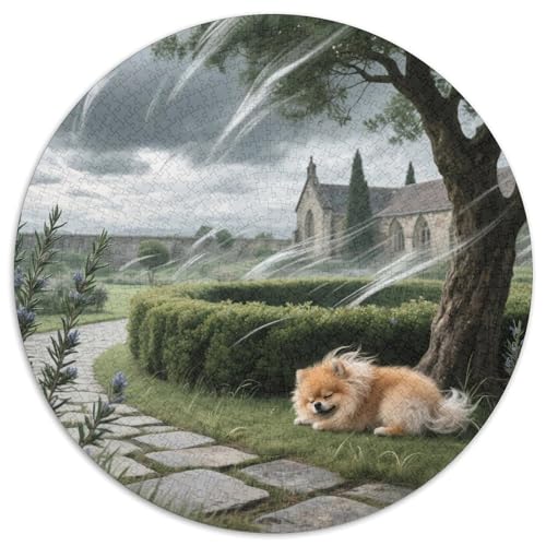 Pommern 1000 PCS Puzzle Stressabbau-Spielzeug Für Erwachsene Kinder Süße Haustiere Runden Puzzle Puzzle-Spiele Wand Dekoration Geschenk 1000pcs (67.5x67.5cm) von XDDBYUIZP