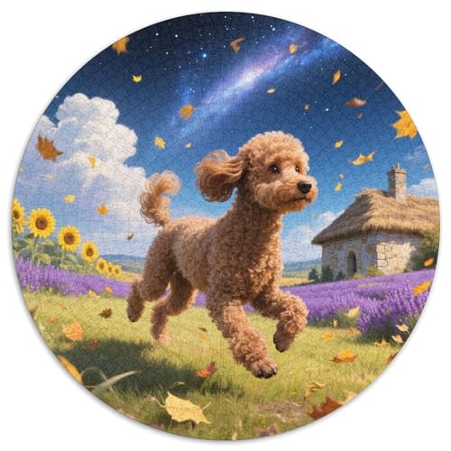 Poodle 1000 Stück Puzzle VerringerterDruck Süße Haustiere Circular Puzzle Puzzle-Spiele Wand Dekoration Geschenk (67.5x67.5cm) von XDDBYUIZP