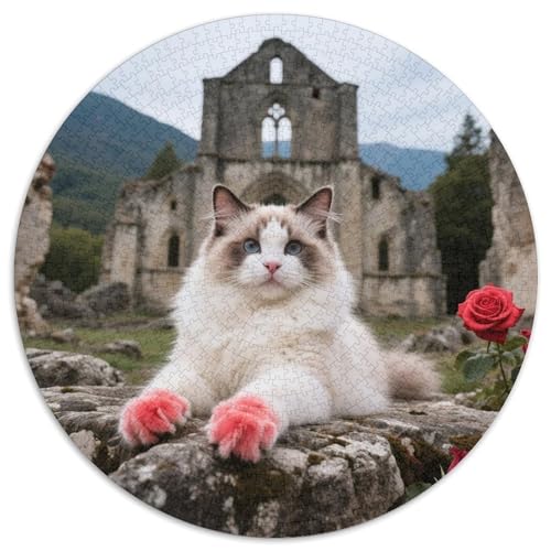 Ragdoll 1000 Stück Puzzle Stressabbau Spielzeug Für Familienpuzzle Süße Haustiere Rundes Puzzle Puzzle-Spiele Wand Dekoration Geschenk (67.5x67.5cm) von XDDBYUIZP