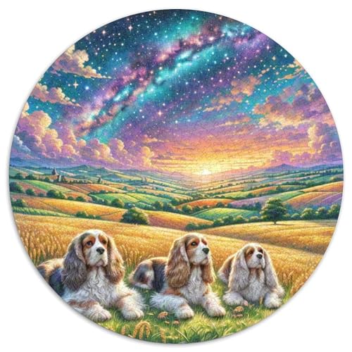 Setzer 1000 Stück Puzzles Stressabbau Spielzeug Für Familienpuzzle Circular Puzzle Puzzle-Spiele Wand Dekoration Geschenk (67.5x67.5cm) von XDDBYUIZP