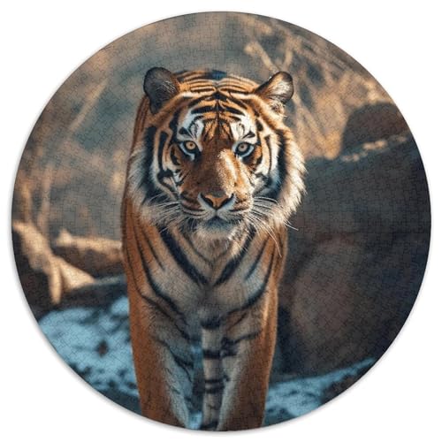 Tiger 1000 PCS Puzzle Stressabbau-Spielzeug Für Erwachsene Kinder Tier Circular Puzzle Puzzle-Spiele Wand Dekoration Geschenk 1000pcs (67.5x67.5cm) von XDDBYUIZP