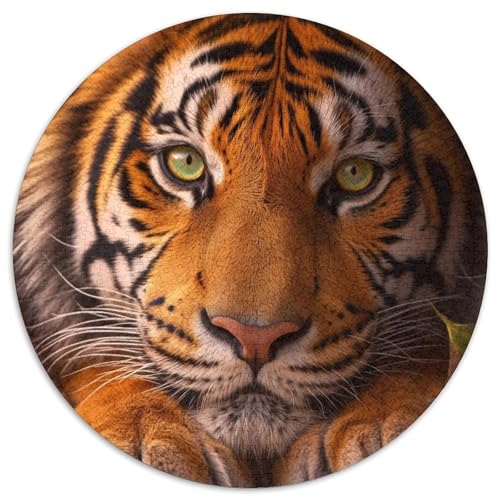 Tiger 1000 PCS Puzzle Stressabbau-Spielzeug Für Erwachsene Kinder Tier Circular Puzzle Puzzle-Spiele Wand Dekoration Geschenk 1000pcs (67.5x67.5cm) von XDDBYUIZP
