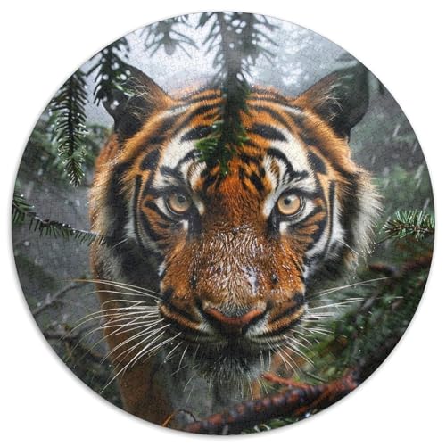 Tiger 1000 PCS Puzzle Stressabbau-Spielzeug Für Erwachsene Kinder Tier Circular Puzzle Puzzle-Spiele Wand Dekoration Geschenk 1000pcs (67.5x67.5cm) von XDDBYUIZP