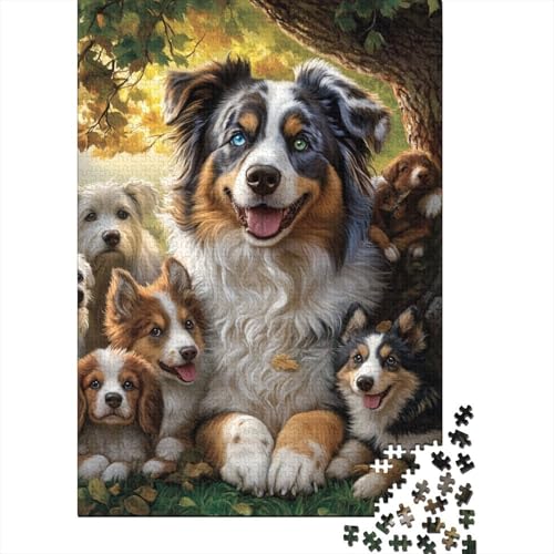 Australian Shepherd Puzzle 1000 Teile Schwer Puzzle Spielzeug Pädagogisches Spiel Impossible Herausforderungsspielzeug Für Erwachsene Und Kinder Ab 12 Jahren 1000pcs (75x50cm) von XFKLYNVCJ