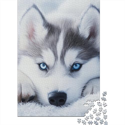 Sibirischer Husky Puzzle 1000 Teile Schwer Puzzle Spielzeug Lernspiel Impossible Herausforderungsspielzeug Für Erwachsene Und Kinder Ab 14 Jahren 1000pcs (75x50cm) von XFKLYNVCJ