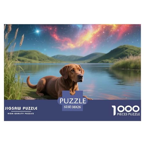 Der Labrador-Retriever Puzzle 1000 Teile Premium Quality Lernspiel Animal Home Dekoration Klassische Lernspiel 38x26cm/1000pcs Der Labrador-Retriever Puzzle 1000 Teile Premium Quality Lernspiel Animal Home Dekoration Klassische Lernspiel 38x26cm/1000pcs von XGASVBKWA