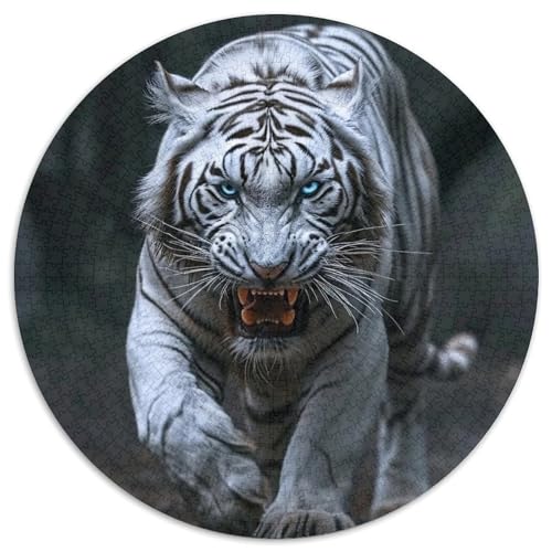 Puzzle für Erwachsene, 1000 Teile, Silent Tigers, Papierpuzzle, Denksportaufgabe, Spiel für Erwachsene, interaktive Familienaktivität (Größe 67,5 x 67,5 cm) von XHAXING