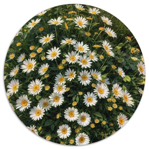Puzzle mit 1000 Teilen für Erwachsene, Sonnenblumenfeld, runde Papierpuzzles, Denksportaufgabe, interaktives Familienspiel, geeignet für Kinder ab 14 Jahren (67,5 x 67,5 cm) von XHAXING