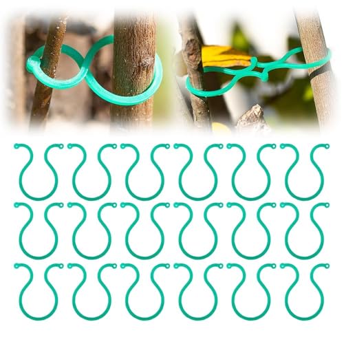 XIEHUANGJIYI Pflanzenklammern für Kletterpflanzen, langlebige und Wiederverwendbare Pflanzenbinder, einfach zu verwendende Pflanzenklammern für den Garten, Gartenpflanzen(300) von XIEHUANGJIYI