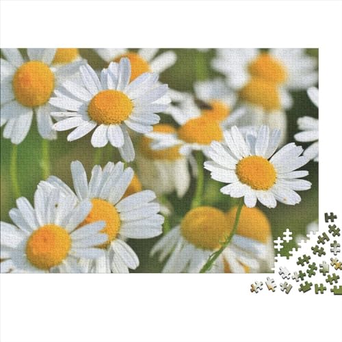 Blumen Puzzle 1000 Teile Erwachsene 1000 Teile Jigsaw Pflanzen Puzzles Für Wohnkultur Wandkunst 1000pcs (75x50cm) von XINCHENMM