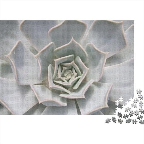 Blumen Puzzle 300 Teile Klassische Puzzle Erwachsene Pflanzen Puzzle DIY Kit Holzspielzeug Einzigartiges Geschenk Moderne Wohnkultur 300pcs (40x28cm) von XINCHENMM