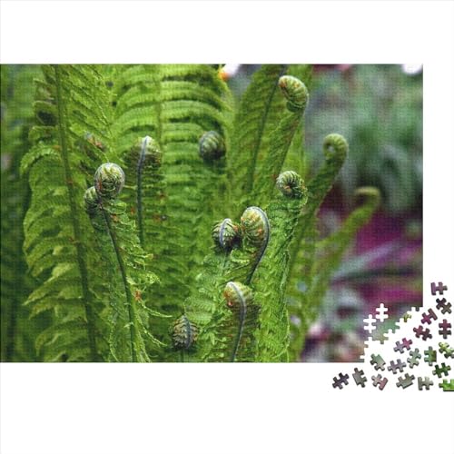 Blumen Puzzle 300 Teile Klassische Puzzle Erwachsene Pflanzen Puzzle DIY Kit Holzspielzeug Einzigartiges Geschenk Moderne Wohnkultur 300pcs (40x28cm) von XINCHENMM