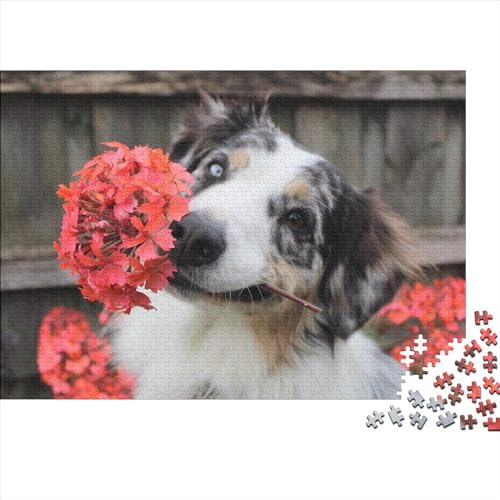 Hunde Puzzle 1000 Teile Klassische Puzzle Erwachsene Haustiere Puzzle DIY Kit Holzspielzeug Einzigartiges Geschenk Moderne Wohnkultur 1000pcs (75x50cm) von XINCHENMM