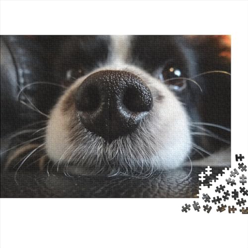 Hunde Puzzle 1000 Teile Klassische Puzzle Erwachsene Haustiere Puzzle DIY Kit Holzspielzeug Einzigartiges Geschenk Moderne Wohnkultur 1000pcs (75x50cm) von XINCHENMM