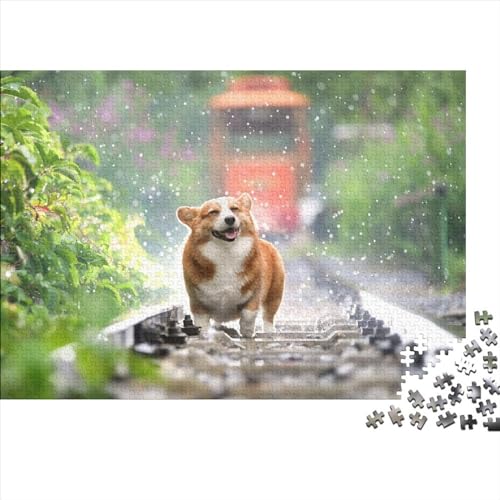 Hunde Puzzle 1000 Teile Klassische Puzzle Erwachsene Haustiere Puzzle DIY Kit Holzspielzeug Einzigartiges Geschenk Moderne Wohnkultur 1000pcs (75x50cm) von XINCHENMM