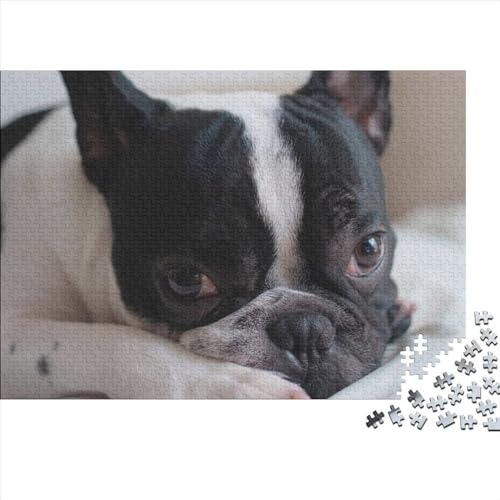 Hunde Puzzle 300 Teile Klassische Puzzle Erwachsene Haustiere Puzzle DIY Kit Holzspielzeug Einzigartiges Geschenk Moderne Wohnkultur 300pcs (40x28cm) von XINCHENMM