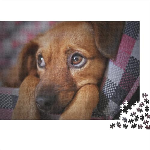 Hunde Puzzle 500 Teile Klassische Puzzle Erwachsene Haustiere Puzzle DIY Kit Holzspielzeug Einzigartiges Geschenk Moderne Wohnkultur 500pcs (52x38cm) von XINCHENMM